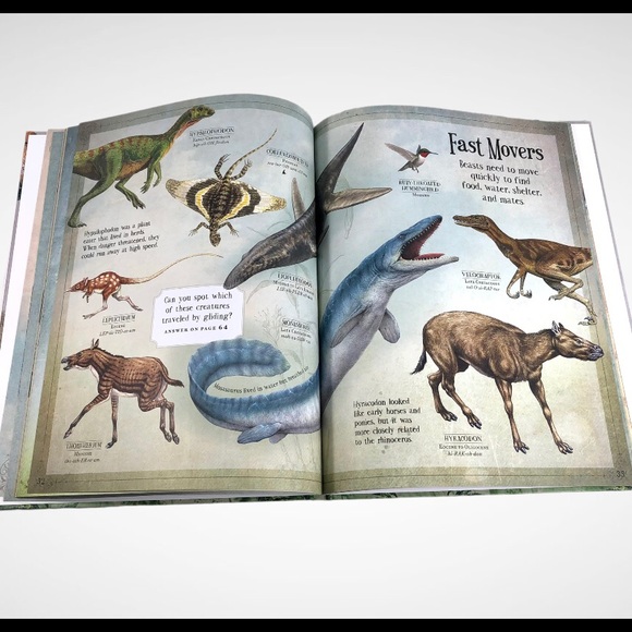 Curious Collection of Dinosaurs Hardcover EUC - Picture 2 of 4